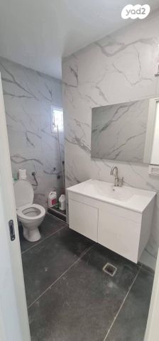 דירה, המתמיד, בן דור, נשר