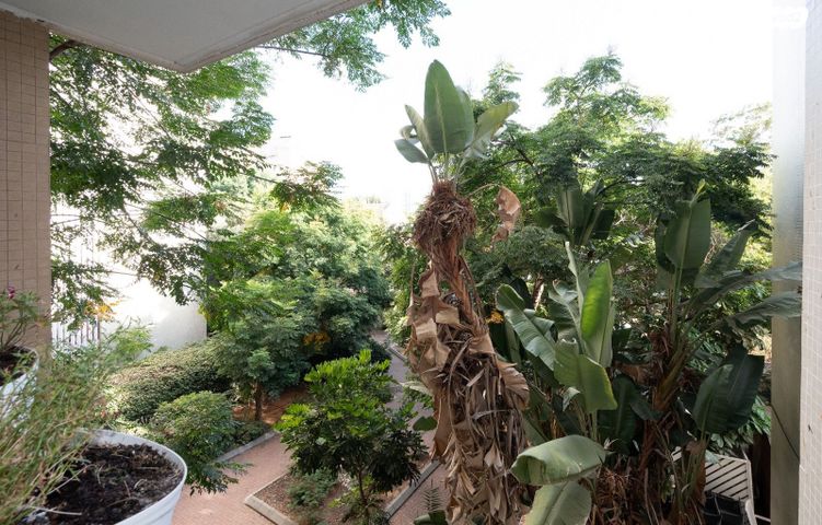 דירה, מרכז, הרצליה