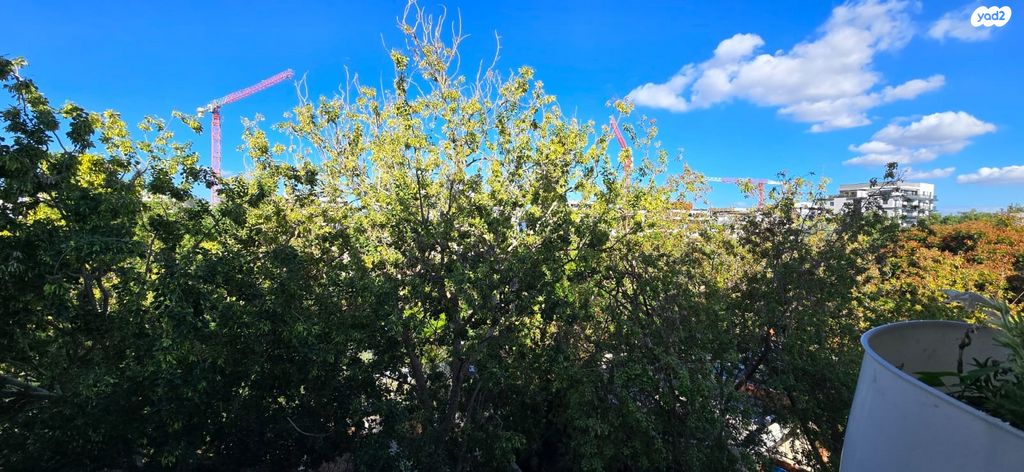 גג/ פנטהאוז, נעמי, הדר, רמת השרון