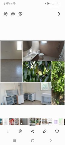 דרך פרחי הבר 