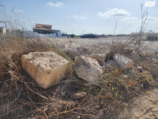 מגרשים, בקוע, בקוע, בקוע