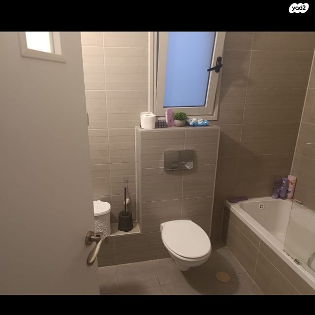 בקעת רימון 19