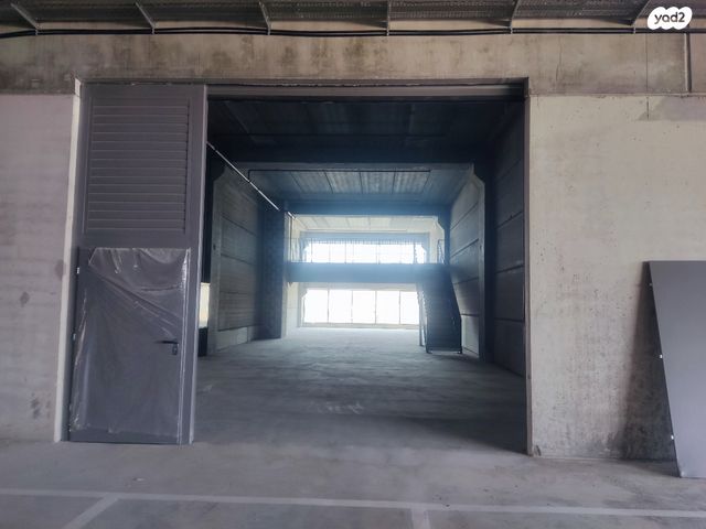 בן ציון גליס 20