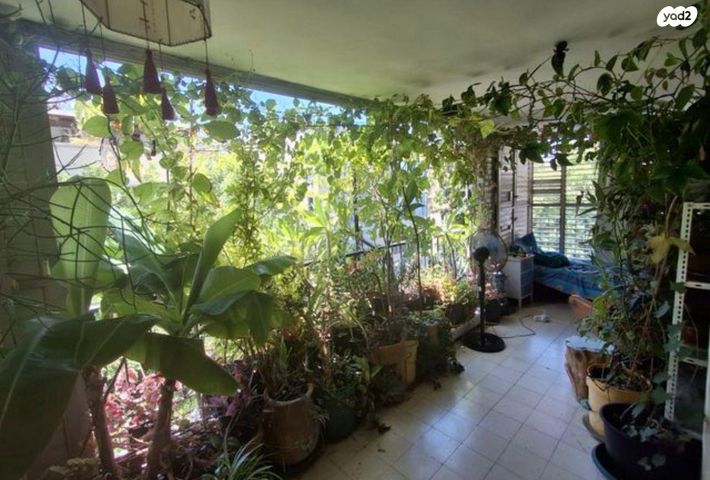 הצפון הישן - דרום