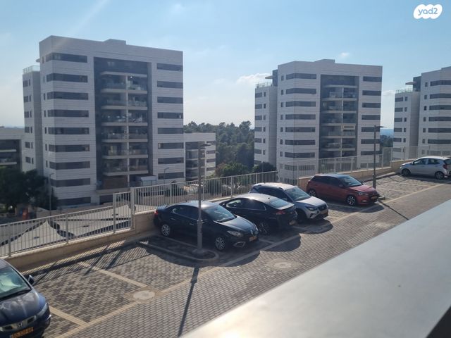 דירה, כלנית, הפרחים, חריש