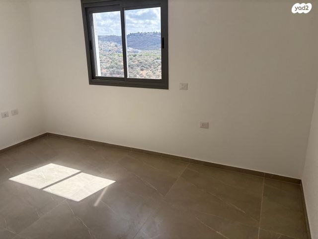 טריפלקס, צופים, צופים