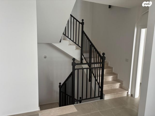 טריפלקס, צופים, צופים