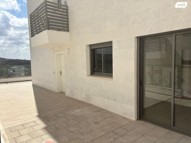 טריפלקס, צופים, צופים