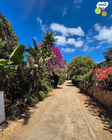 בית פרטי/ קוטג', נווה הברון, זכרון יעקב