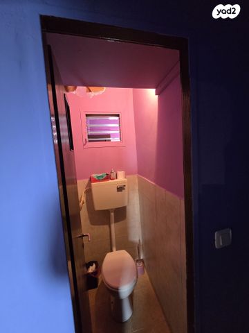 דירה, חיים חורי, יעקב מסיקה, אופקים