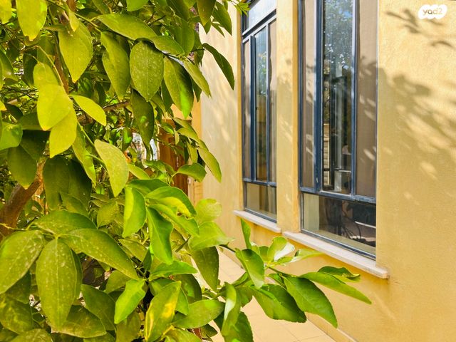 דו משפחתי, הנשר, בנה ביתך, קדימה צורן