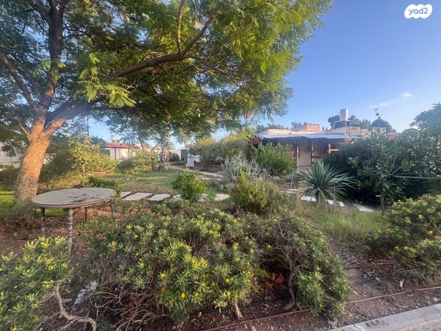 גבעת השקדים 