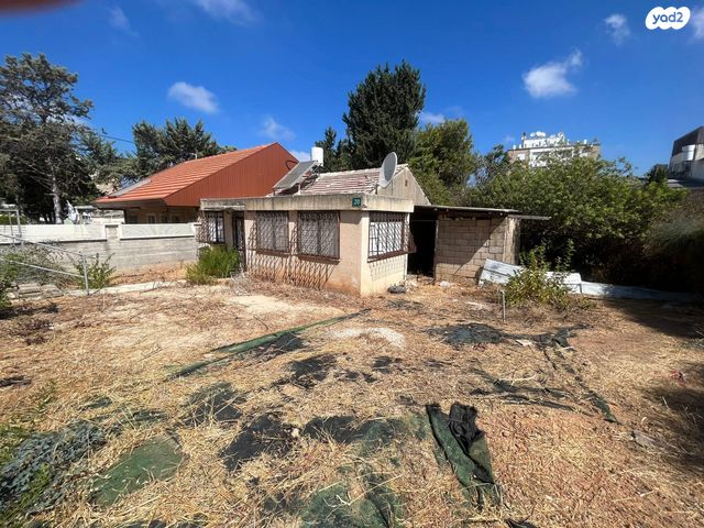 גבעת אוסישקין