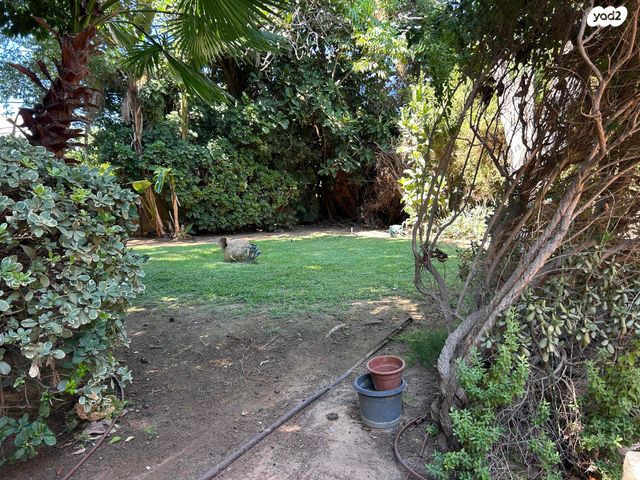 בית פרטי/ קוטג', נוף ים, הרצליה