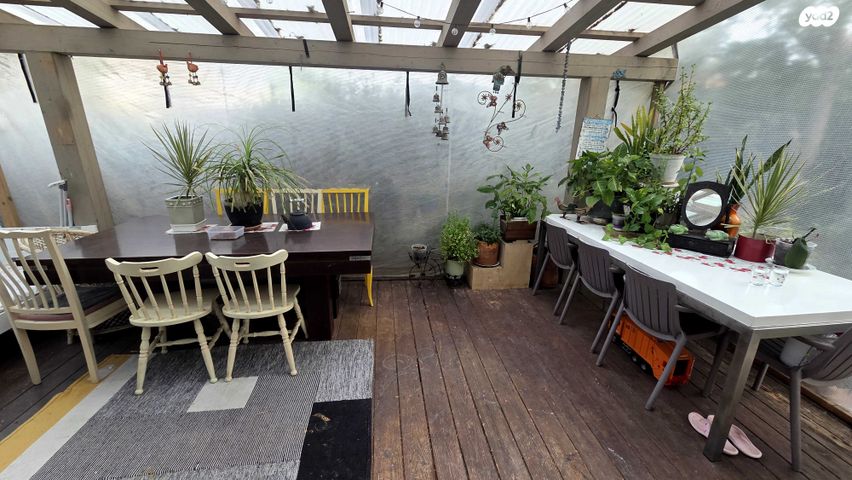 דירת גן, שלום פינקלשטיין, סלע, רחובות