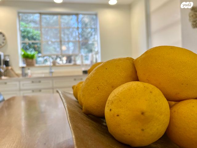 בית פרטי/ קוטג', קדימה צורן