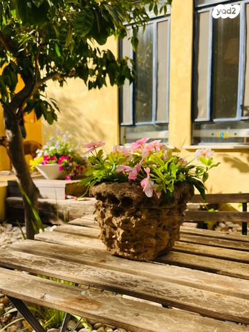 דו משפחתי, הנשר, בנה ביתך, קדימה צורן