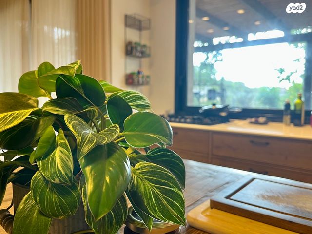 בית פרטי/ קוטג', שאר העיר, קדימה צורן