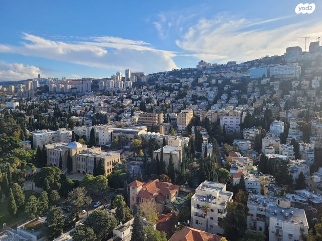 דירה, אחד העם, הרצליה, חיפה