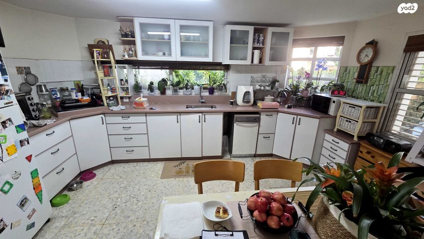 שלום פינקלשטיין 