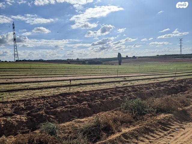 משק חקלאי/ נחלה