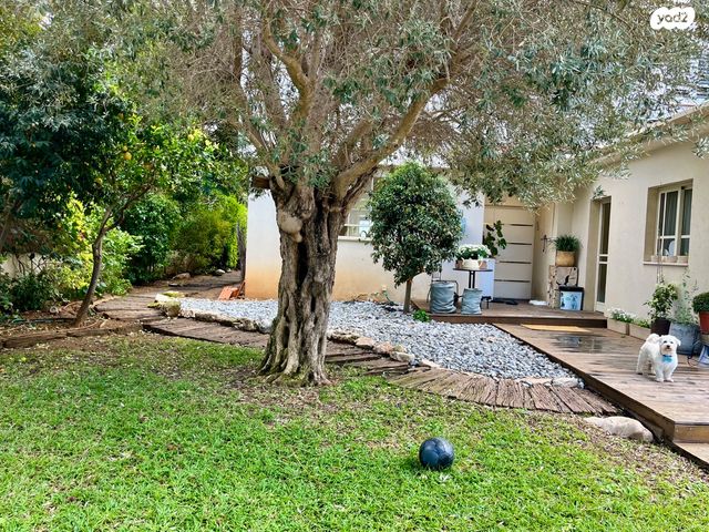 בית פרטי/ קוטג', קדימה צורן