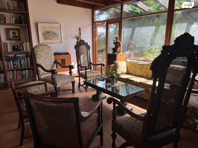 הוד הכרמל, דניה