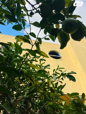 דו משפחתי, הנשר, בנה ביתך, קדימה צורן