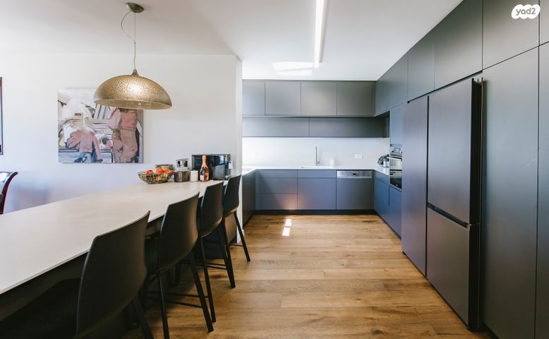 גג/ פנטהאוז, פנקס, הצפון החדש - כיכר המדינה, תל אביב יפו