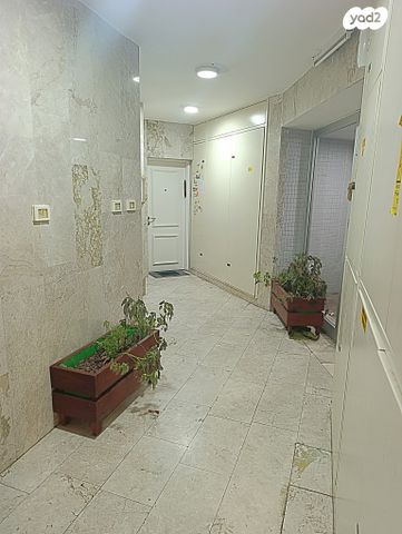 דירה, צלף, נאות בגין, לב יבנה, יבנה