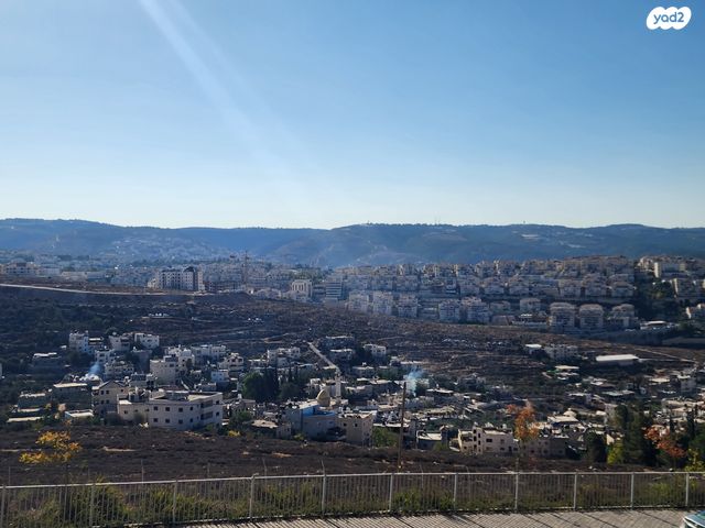 דירה, סנסן, צור הדסה