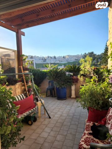 שלמה בן יוסף 250