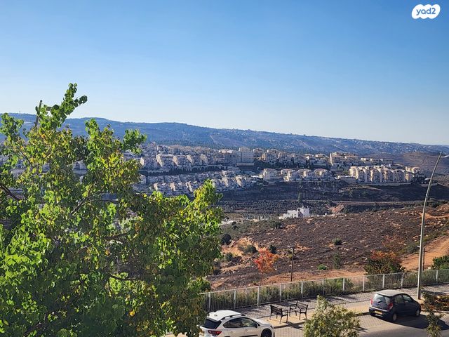 דירה, סנסן, צור הדסה