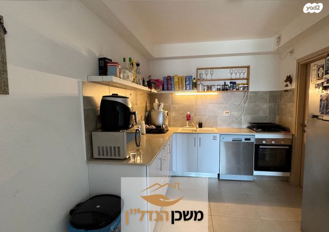 דירה, משה לוי, רמלה