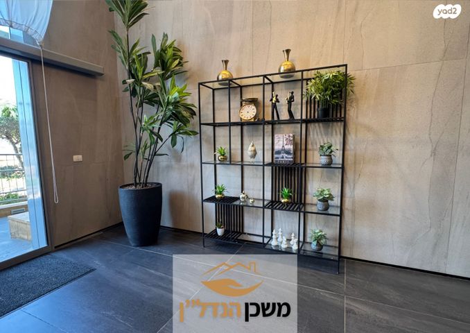 דירה, משה לוי, רמלה