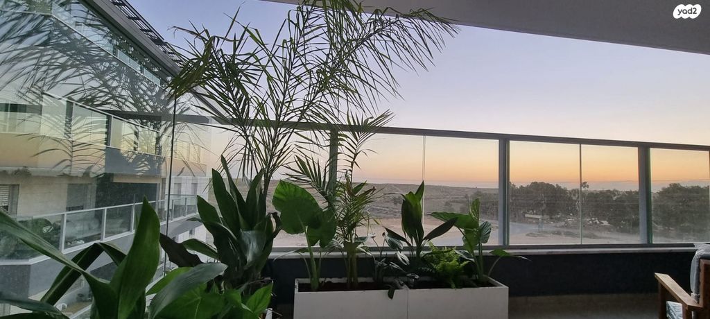 דירה, מרווה, סיגליות, באר שבע