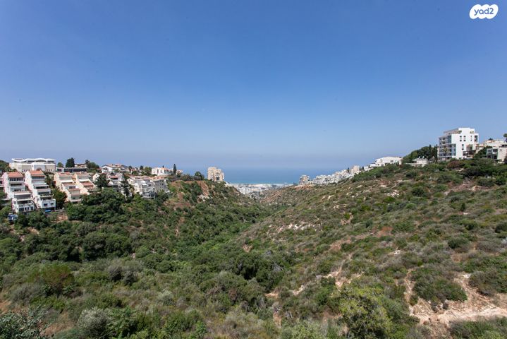 דירת גן, רמת אשכול, חיפה