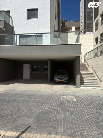 טריפלקס, צופים, צופים