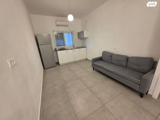 יהושע חנקין 