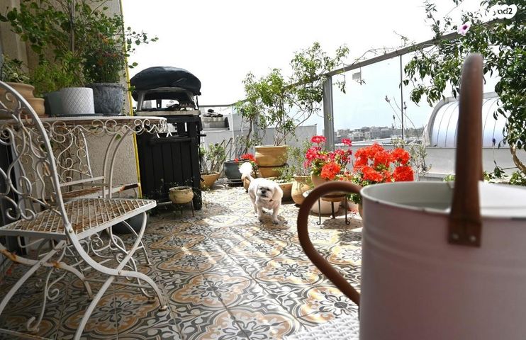 גג/ פנטהאוז, מירון, אורנים, מעלות תרשיחא