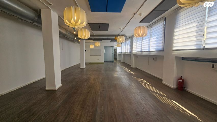 נתן ילין מור 