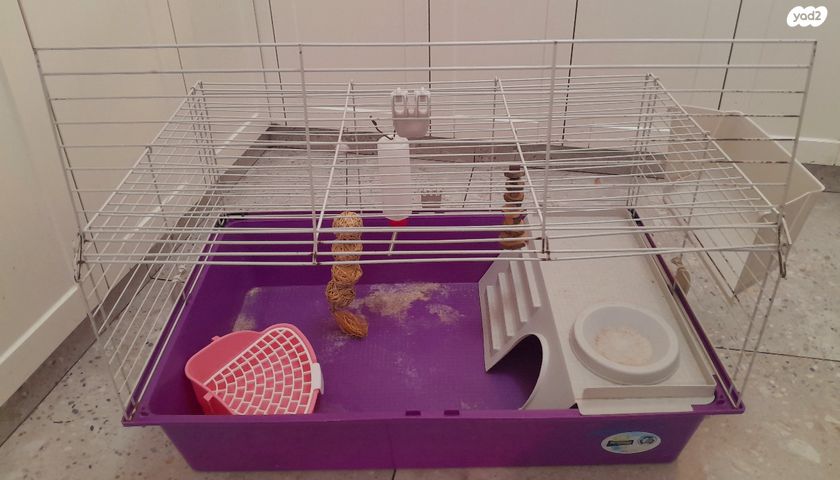 תמונת מודעה - חיות מחמד