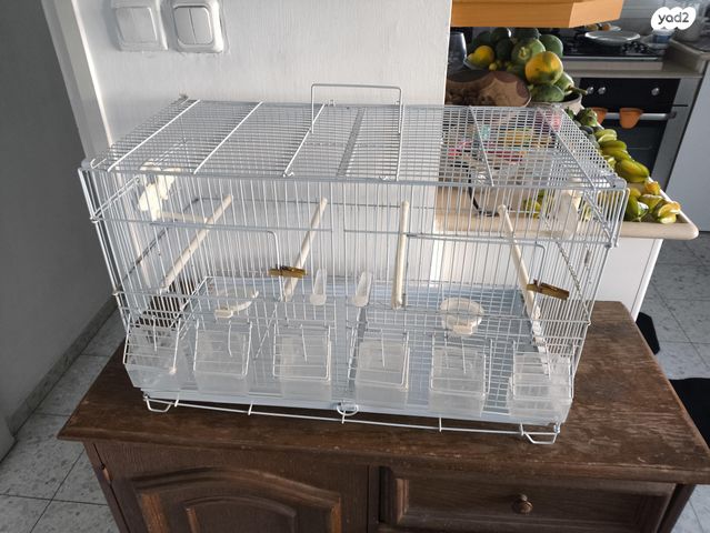 תמונת מודעה - חיות מחמד