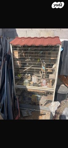 תמונת מודעה - חיות מחמד