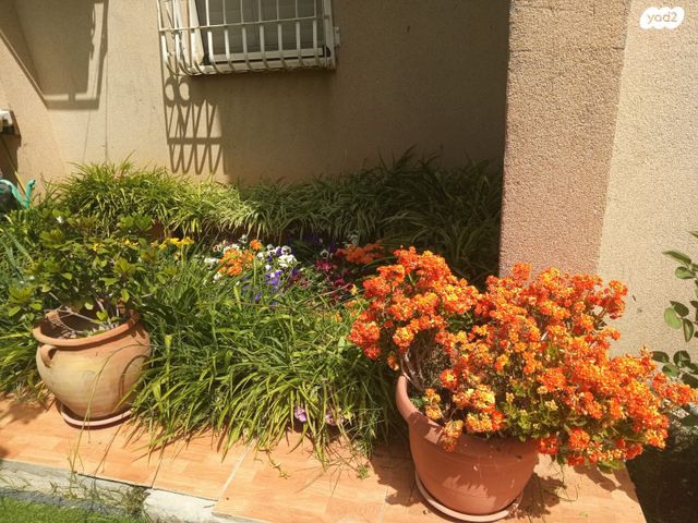 דירת גן, בר אילן 281, קרית אריה / שיינפלד, בית שמש