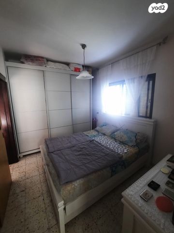 שלמה המלך 13