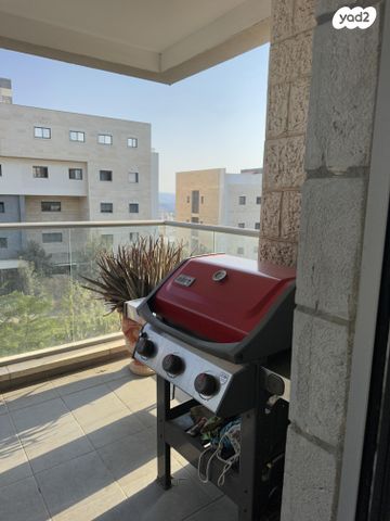 דירה, דוכיפת 12, סנסן, צור הדסה