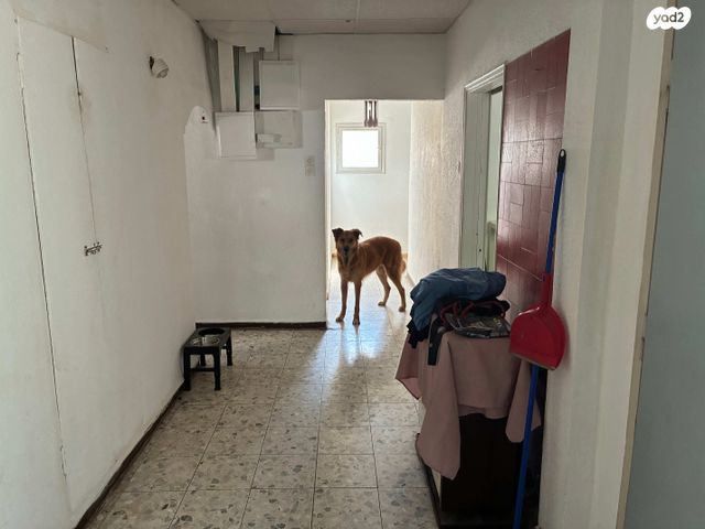 בית פרטי/ קוטג', הפורצים 31, רמת אפרים, נתניה