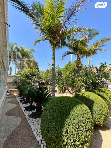 דירת גן, אדרת, אדרת, אדרת