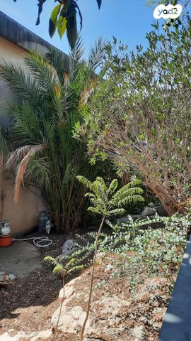 דירה, מורד הגיא 37, אשכול, כרמיאל